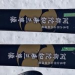 2025スキー試乗記 妙高連山 SANZON (162)