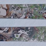 2027スキー試乗記 ICELANTIC TORRENT 96 (176)